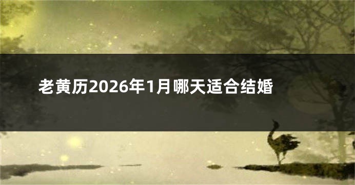 老黄历2026年1月哪天适合结婚