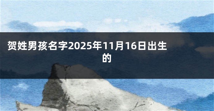 贺姓男孩名字2025年11月16日出生的