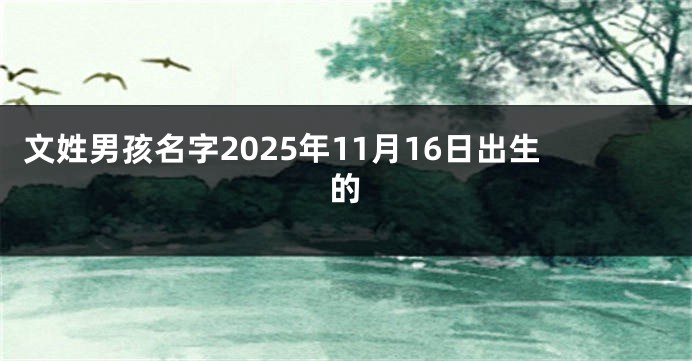 文姓男孩名字2025年11月16日出生的