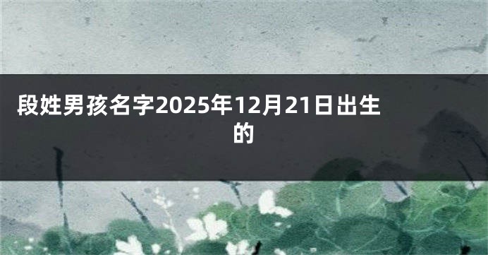 段姓男孩名字2025年12月21日出生的