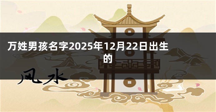万姓男孩名字2025年12月22日出生的