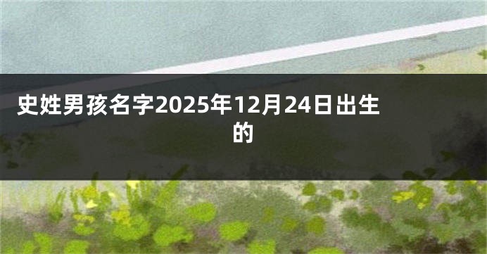 史姓男孩名字2025年12月24日出生的