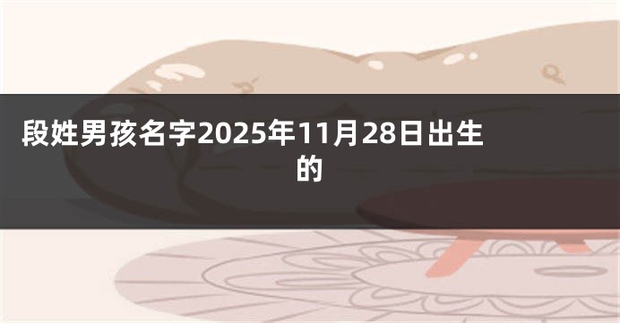 段姓男孩名字2025年11月28日出生的