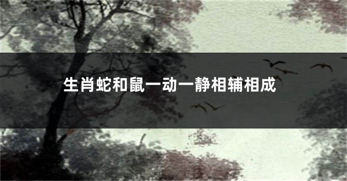 生肖蛇和鼠一动一静相辅相成