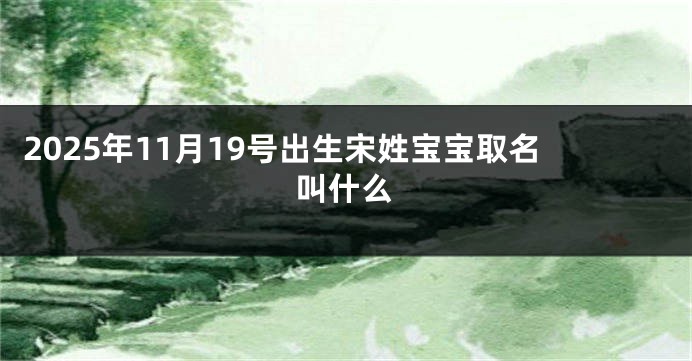 2025年11月19号出生宋姓宝宝取名叫什么