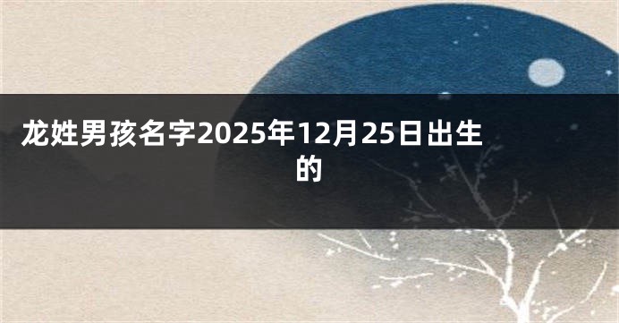 龙姓男孩名字2025年12月25日出生的