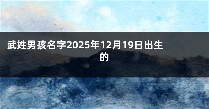 武姓男孩名字2025年12月19日出生的