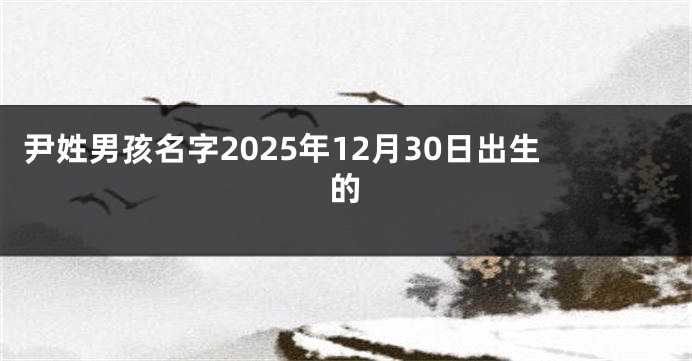 尹姓男孩名字2025年12月30日出生的
