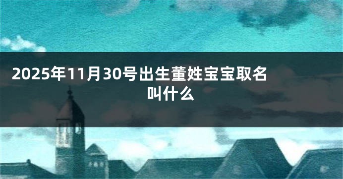 2025年11月30号出生董姓宝宝取名叫什么