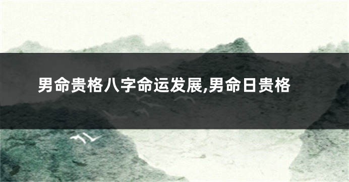 男命贵格八字命运发展,男命日贵格
