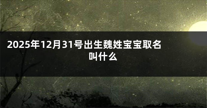 2025年12月31号出生魏姓宝宝取名叫什么