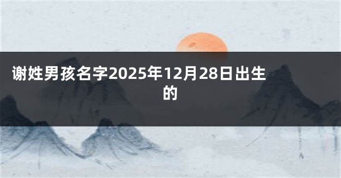 谢姓男孩名字2025年12月28日出生的