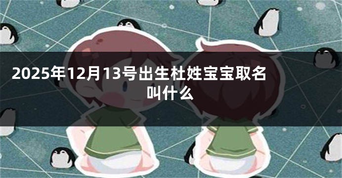 2025年12月13号出生杜姓宝宝取名叫什么