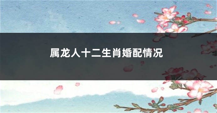 属龙人十二生肖婚配情况