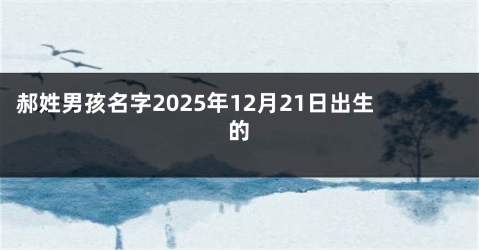 郝姓男孩名字2025年12月21日出生的