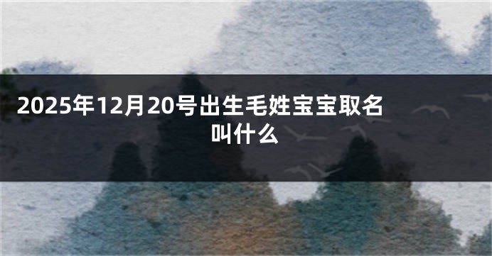 2025年12月20号出生毛姓宝宝取名叫什么