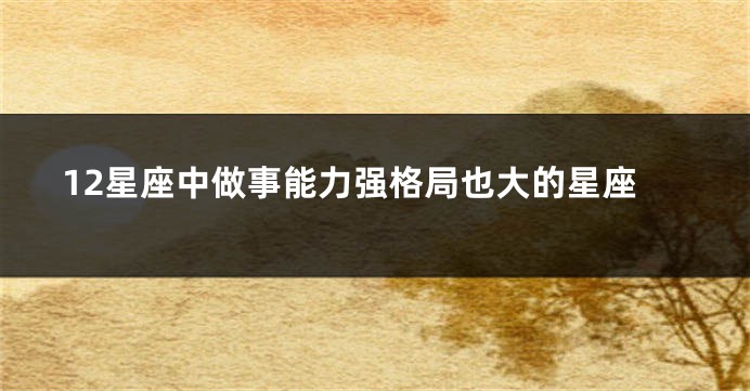 12星座中做事能力强格局也大的星座