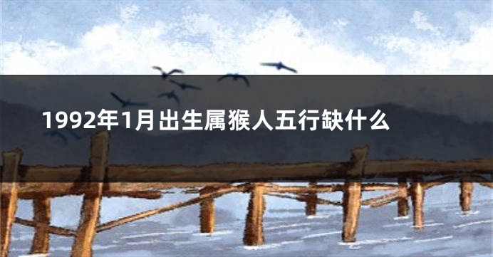 1992年1月出生属猴人五行缺什么