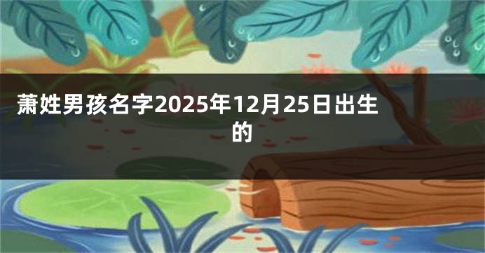 萧姓男孩名字2025年12月25日出生的