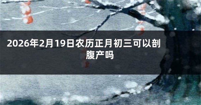 2026年2月19日农历正月初三可以剖腹产吗
