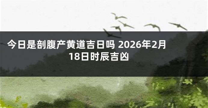 今日是剖腹产黄道吉日吗 2026年2月18日时辰吉凶