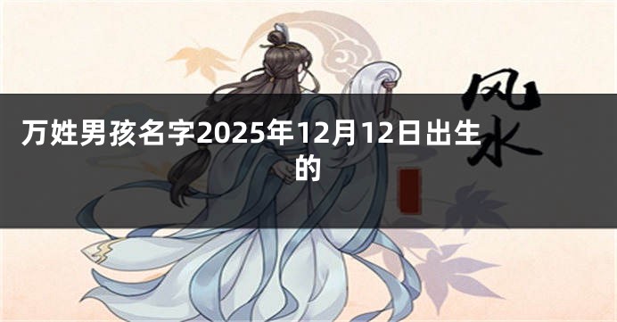 万姓男孩名字2025年12月12日出生的
