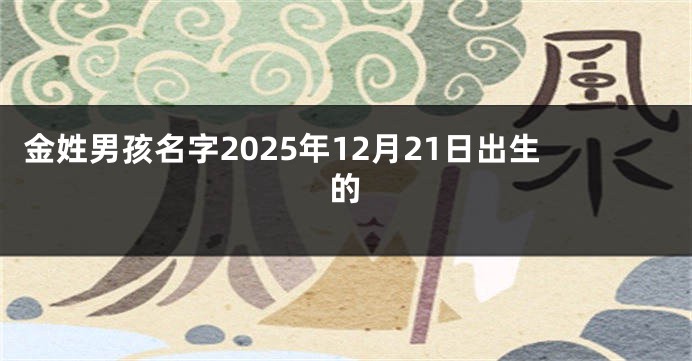 金姓男孩名字2025年12月21日出生的