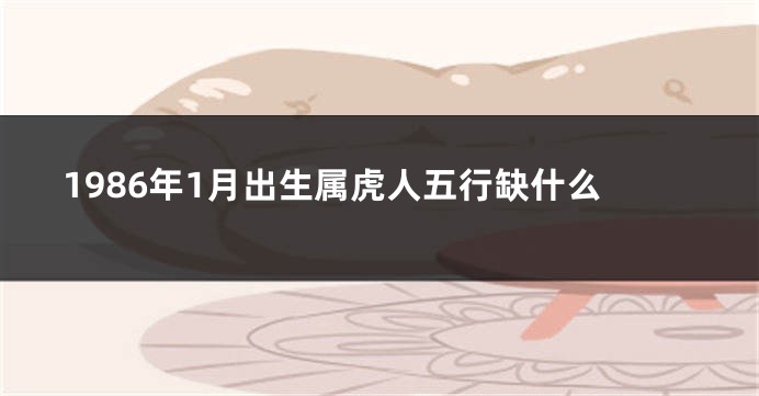 1986年1月出生属虎人五行缺什么