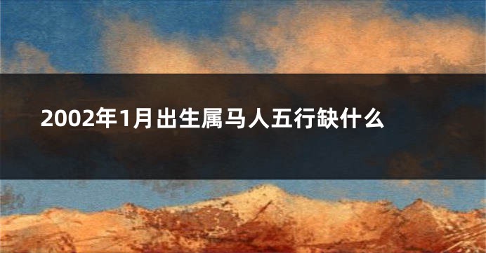 2002年1月出生属马人五行缺什么