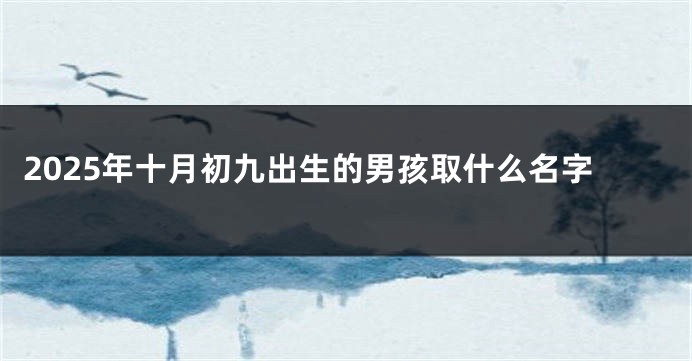 2025年十月初九出生的男孩取什么名字