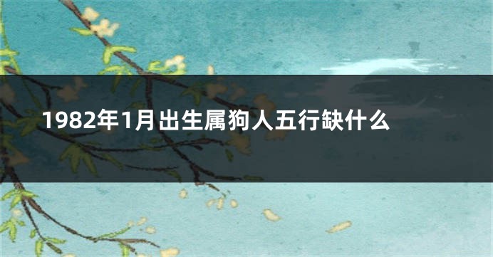 1982年1月出生属狗人五行缺什么