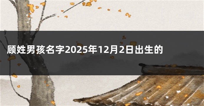 顾姓男孩名字2025年12月2日出生的