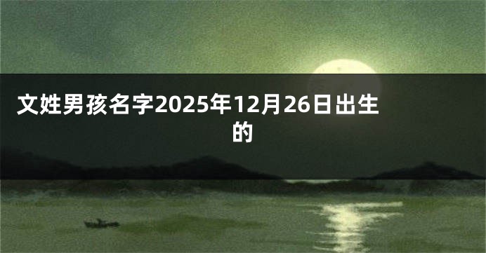 文姓男孩名字2025年12月26日出生的