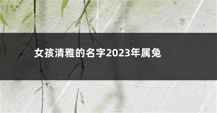 女孩清雅的名字2023年属兔