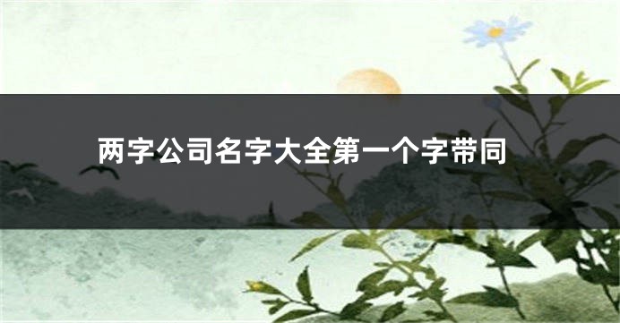 两字公司名字大全第一个字带同