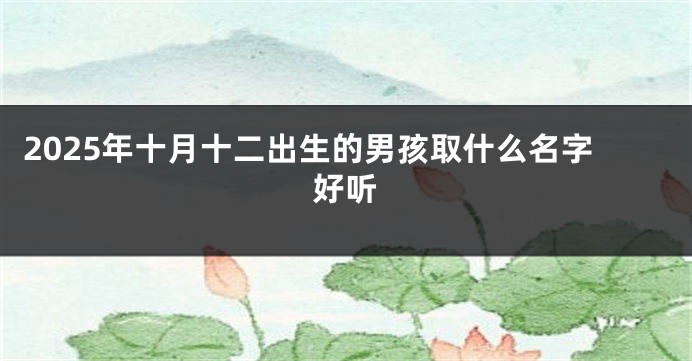 2025年十月十二出生的男孩取什么名字好听