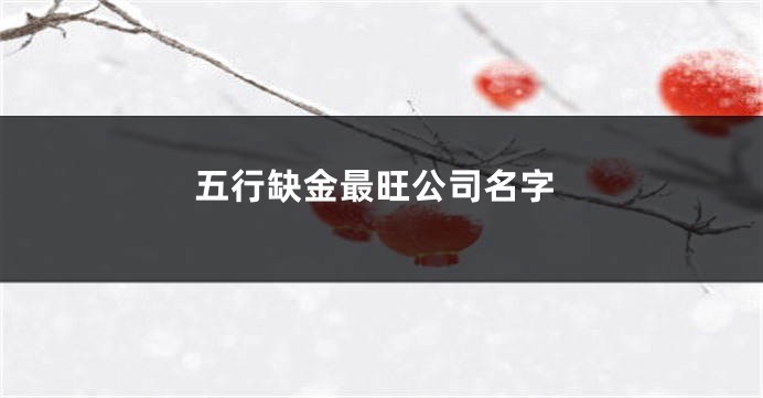 五行缺金最旺公司名字