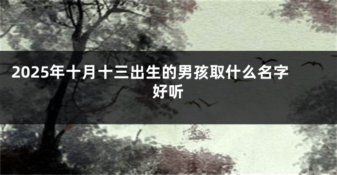 2025年十月十三出生的男孩取什么名字好听