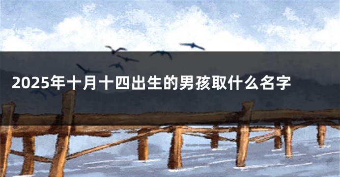 2025年十月十四出生的男孩取什么名字