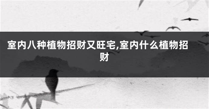 室内八种植物招财又旺宅,室内什么植物招财