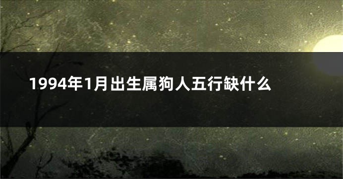 1994年1月出生属狗人五行缺什么