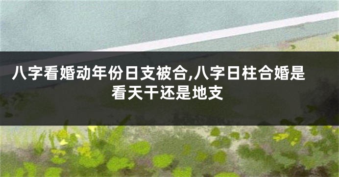 八字看婚动年份日支被合,八字日柱合婚是看天干还是地支