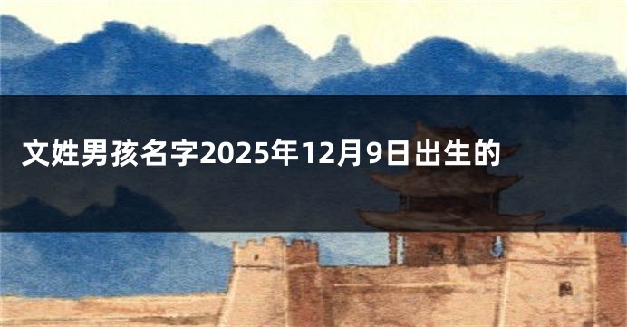 文姓男孩名字2025年12月9日出生的