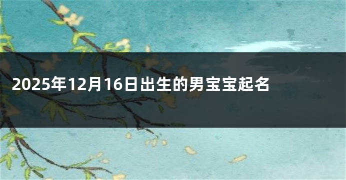 2025年12月16日出生的男宝宝起名