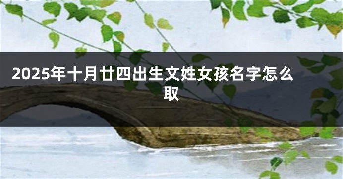 2025年十月廿四出生文姓女孩名字怎么取