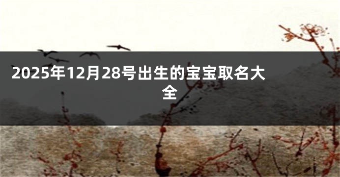 2025年12月28号出生的宝宝取名大全