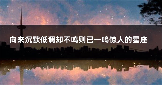 向来沉默低调却不鸣则已一鸣惊人的星座