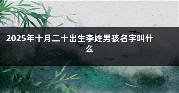 2025年十月二十出生李姓男孩名字叫什么