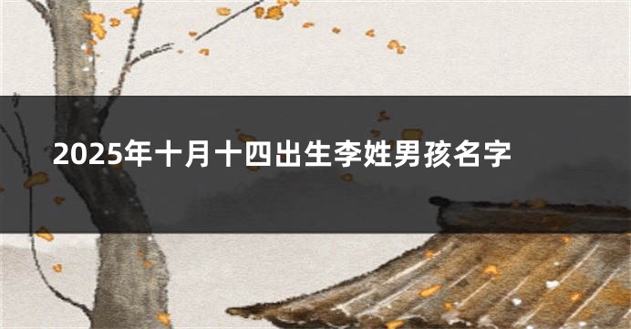 2025年十月十四出生李姓男孩名字