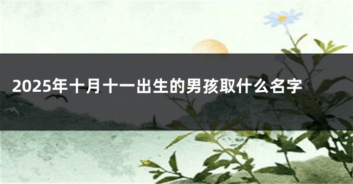 2025年十月十一出生的男孩取什么名字